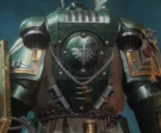 Chapter Emblems on Backpack - Space Marine 2