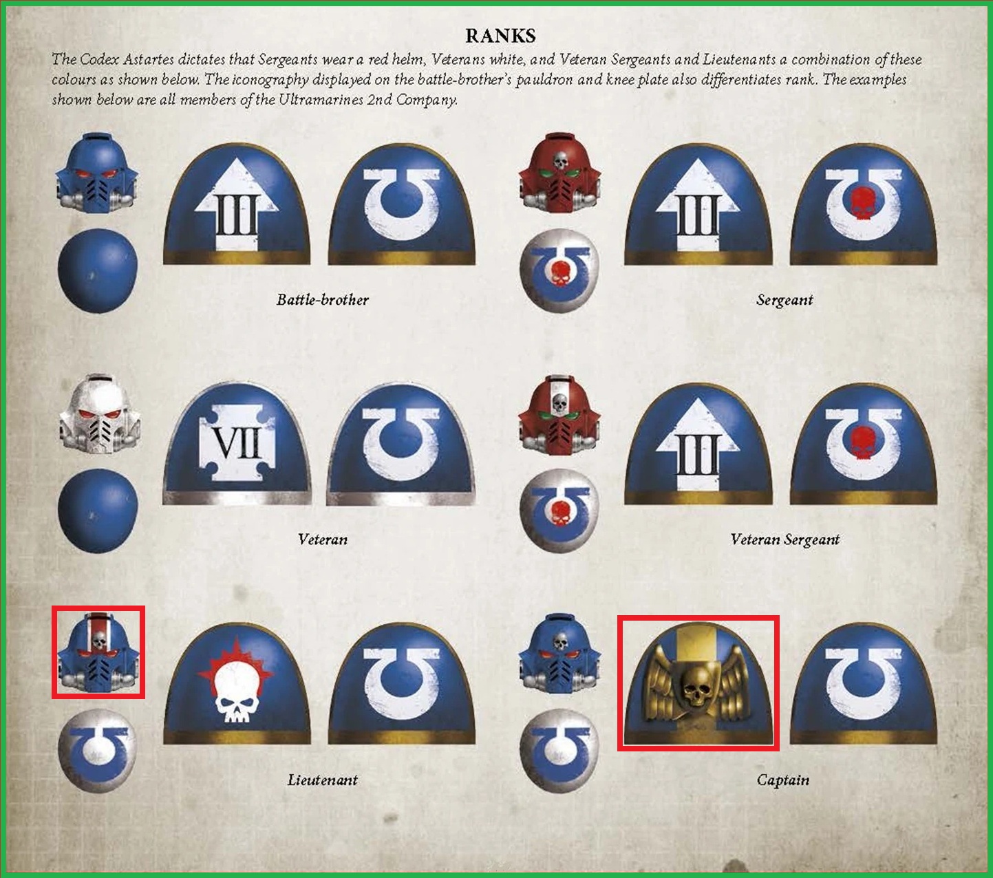 Company Markings - Pauldron Colour Patterns - Space Marine 2