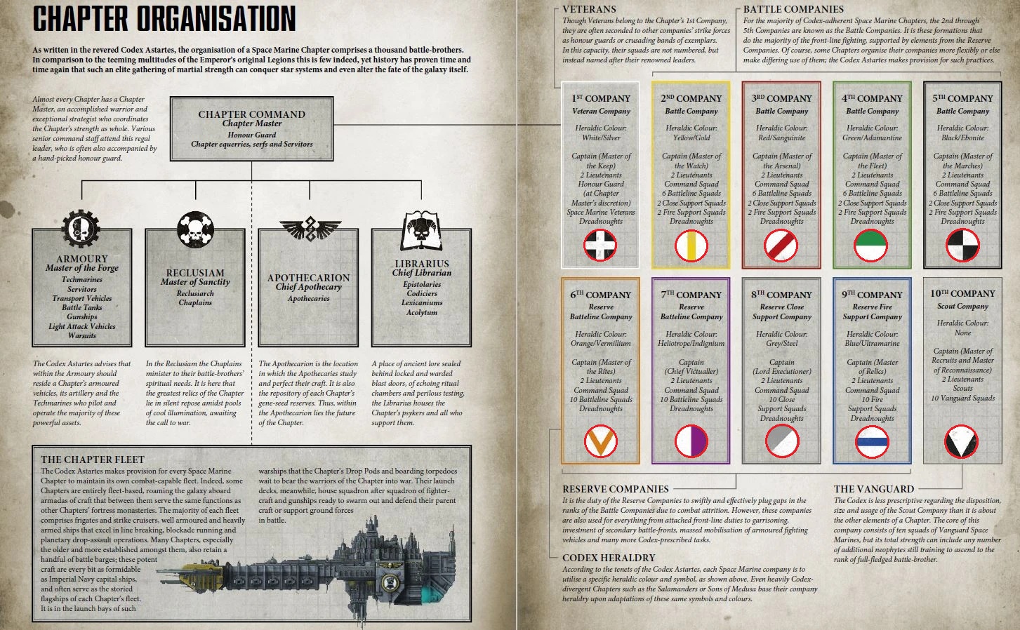 Company Markings - Pauldron Colour Patterns - Space Marine 2